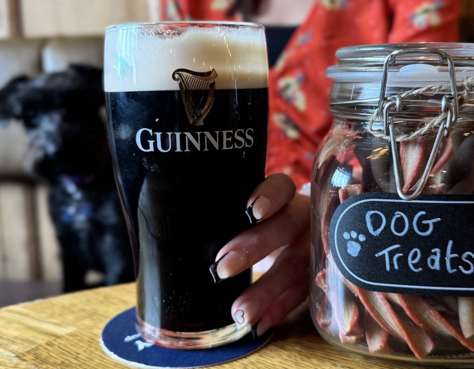 Live Music, Great Pints & Summer Nights at The Crowes Nest - Guinness and furry friends Bank Holiday Weekend in Enniskillen - pub dining enniskillen